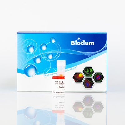 BactoView™ Live Fluorescent Bacterial Stains