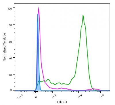 Annexin V CF® Dye Conjugates, Azide-Free, Lyophilized