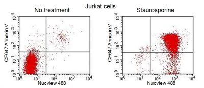 Annexin V Conjugates