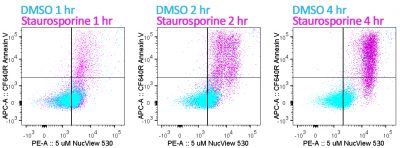 Annexin V Conjugates