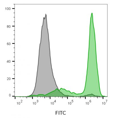 Annexin V Conjugates