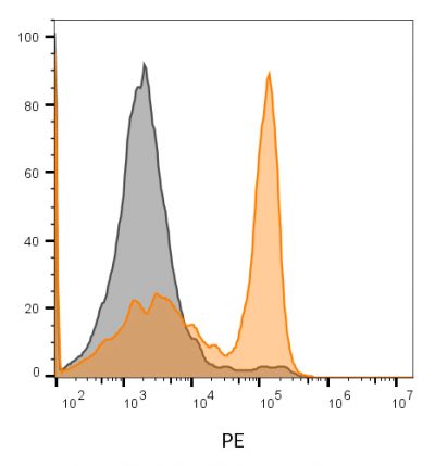 Annexin V Conjugates