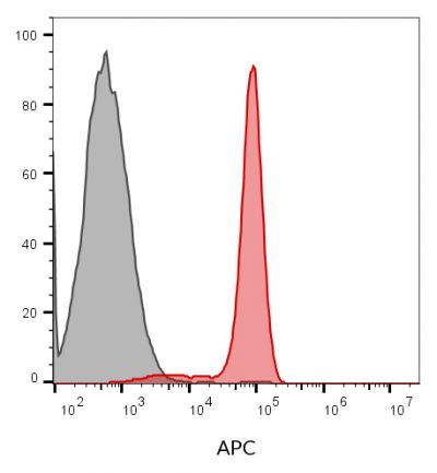 Annexin V Conjugates