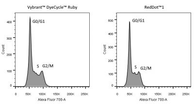 RedDot™1 Far-Red Nuclear Stain, 200X in Water