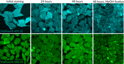 ViaFluor® SE Cell Proliferation Kits