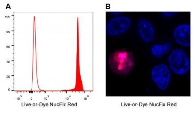 Live-or-Dye NucFix™ Red Staining Kit