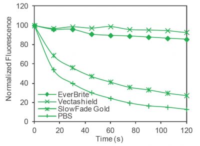 EverBrite™ Mounting Medium