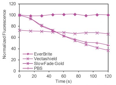 EverBrite™ Mounting Medium