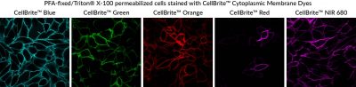 CellBrite® Cytoplasmic Membrane Dyes