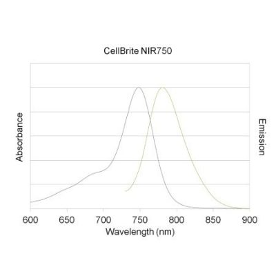 CellBrite® NIR Cytoplasmic Membrane Dyes