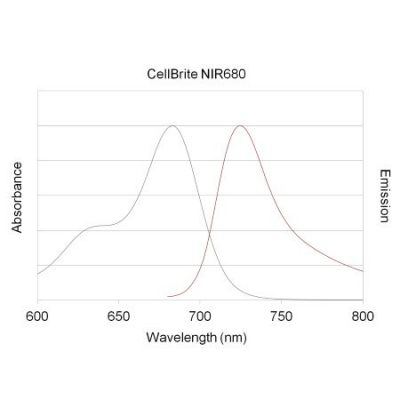 CellBrite® NIR Cytoplasmic Membrane Dyes