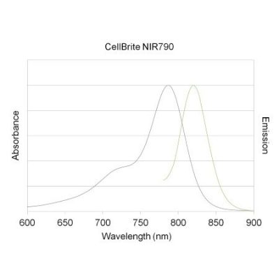 CellBrite® NIR Cytoplasmic Membrane Dyes