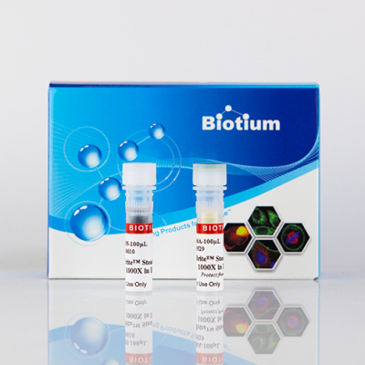 CellBrite® Steady Membrane Staining Kits