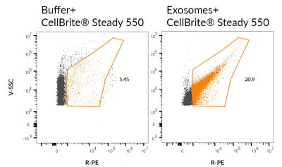 CellBrite® Steady Membrane Staining Kits