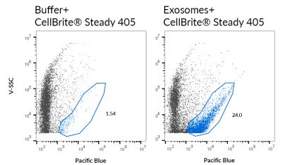 CellBrite® Steady Membrane Staining Kits