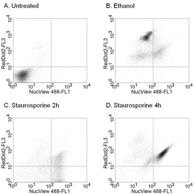 NucView® 488 & RedDot™ 2 Apoptosis & Necrosis Kit
