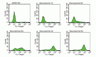 NucView® Caspase-3 Enzyme Substrates