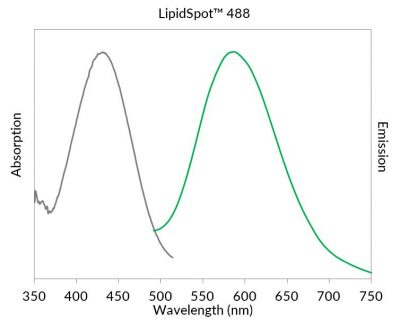 LipidSpot™ Lipid Droplet Stains