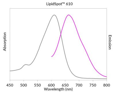 LipidSpot™ Lipid Droplet Stains