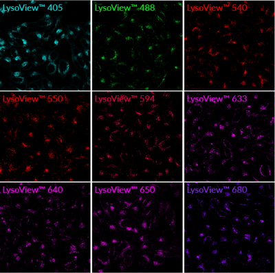 LysoView™ Dyes