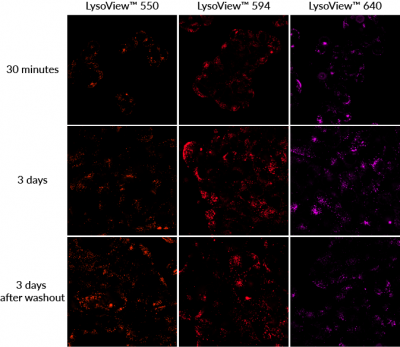 LysoView™ Dyes