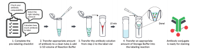 Mix-n-Stain™ CF® Dye Antibody Labeling Kits