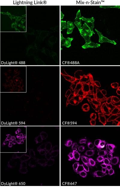 Mix-n-Stain™ CF® Dye Antibody Labeling Kits