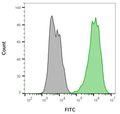 Mix-n-Stain™ CF® Dye Antibody Labeling Kits