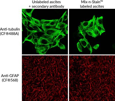 Mix-n-Stain™ CF® Dye Antibody Labeling Kits