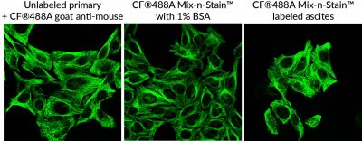 Mix-n-Stain™ CF® Dye Antibody Labeling Kits