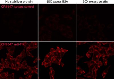 Mix-n-Stain™ CF® Dye Antibody Labeling Kits