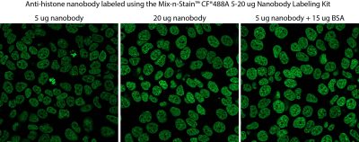 Mix-n-Stain™ Nanobody Labeling Kits