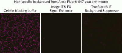 TrueBlack® IF Background Suppressor System (Permeabilizing)