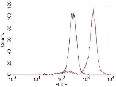 MitoView™ Mitochondrial Dyes