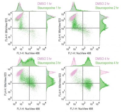 MitoView™ Mitochondrial Dyes