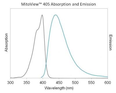 MitoView™ Mitochondrial Dyes