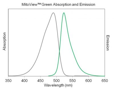 MitoView™ Mitochondrial Dyes