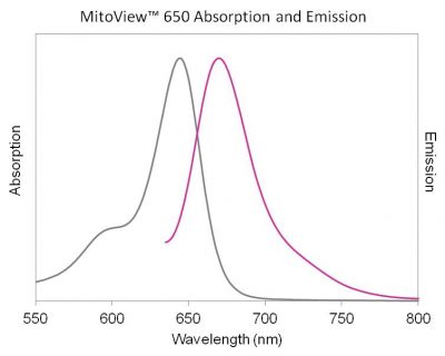 MitoView™ Mitochondrial Dyes