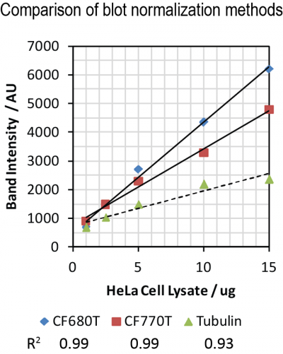 VersaBlot™ Total Protein Normalization Kits