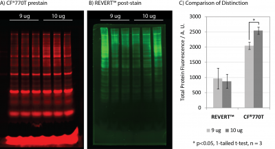 VersaBlot™ Total Protein Normalization Kits