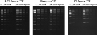 GelGreen® Agarose LE