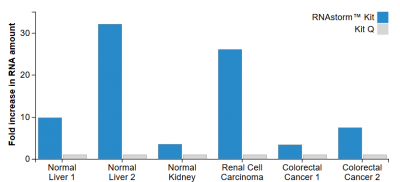 CELLDATA RNAstorm™ FFPE RNA Extraction Kit