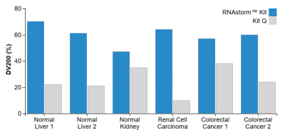 CELLDATA RNAstorm™ FFPE RNA Extraction Kit