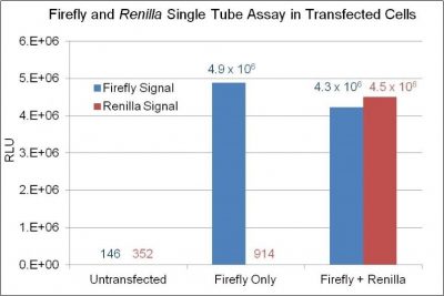 Firefly & Renilla Luciferase Single Tube Assay Kit