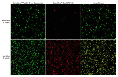 BactoView™ Viability Kits