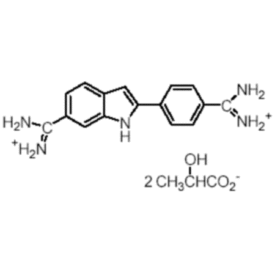 DAPI，乳酸盐