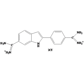 DAPI，盐酸盐