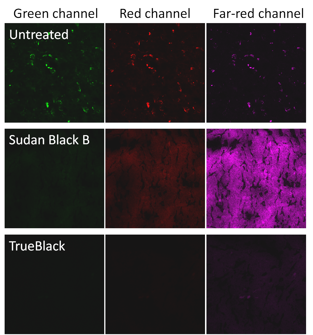 TrueBlack 复合材料 2